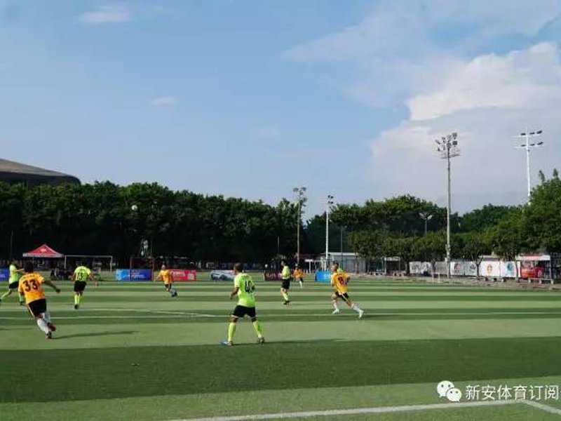 头号玩家龙8概况